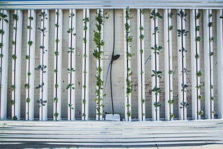 Vertical farming is the modern farming technology that has the potential to change traditional farming by 360 degree