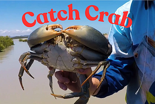 How to Catch Crab: A Comprehensive Guide for Beginners