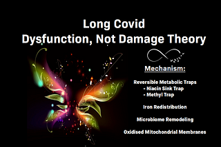Long Covid: Dysfunction, Not Damage — Theory and Treatment Concepts
