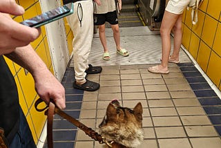 Picture of Nefnef and my son in the metro during a missile attack. Nefnef fancies the baby’s toy…