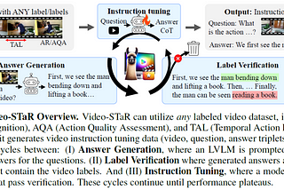 Video-STaR: Self-Training Enables Video Instruction Tuning with Any Supervision