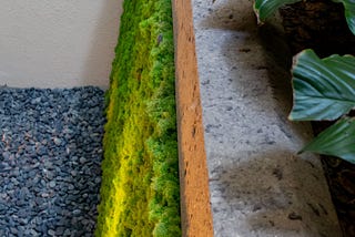 Moss Walls vs.