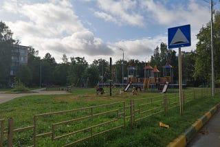 Детская площадка — среда обитания одичавших собак