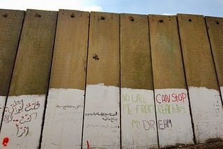 Trump’s Wall: eco-apartheid and the dismantling of the human spirit