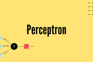 Perceptrons