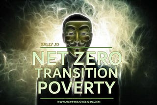The Net Zero Illusion: How Corporations Hijacked the Green Movement