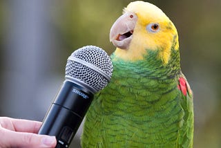 Parrots Use Proper Names Like Humans Do To Call Out Individuals