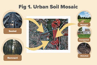 What I Have Learned About Urban Soils: Part 2