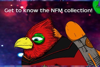 The ‘Non-Fungible Moonbirds’ collection!