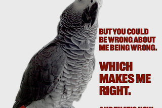 Felix, and all other parrots, consider all things, calculate, and execute in the belief that whatever they have chosen is correct. And they are not wrong.