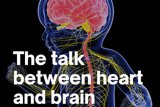 The talk between heart and brain