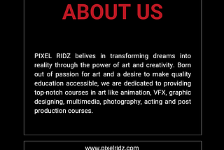 Get to Know Pixel Ridz: Your Digital Innovation Partner
