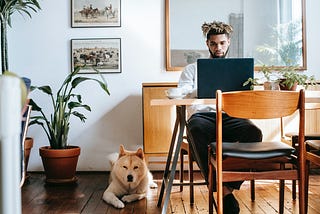 Man sitting at dining table in dining room on a laptop. Very cute dog laying next to him on the ground.