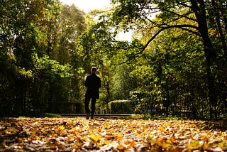 A solitary figure walks along a sunlit forest path lined with tall trees and autumn leaves, symbolising reflection, perception, and lived experience.
