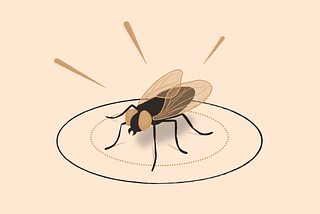 Illustration: A fly