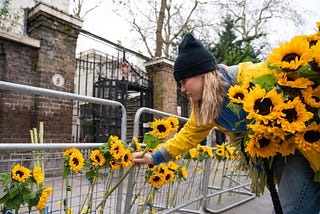 War in Ukraine. Sunflower Seeds vs Seeds of Hatred