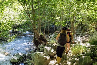 Hikers walking next to a river under a canopy of trees.