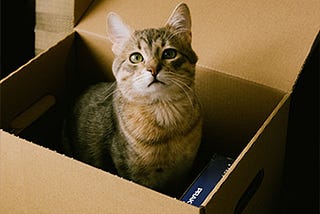 Schrödinger’s Cat