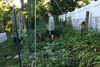 An Update on the Garden