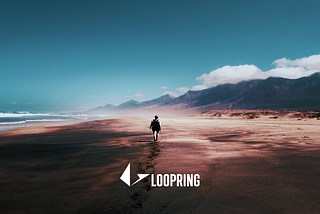 Aggiornamento Bisettimanale di Loopring — 27/05/2018