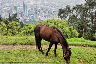 Bogota: My first 48 hours in Colombia