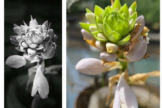 Real Men Don’t Hug (And Other Lies That Broke Us Girls)