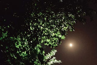 The winter night.