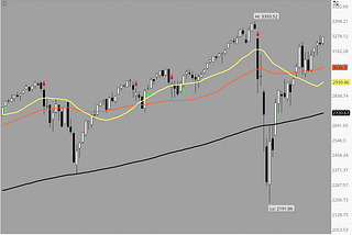 Homeopathy and Put Options: A Winning Stock Market Combination