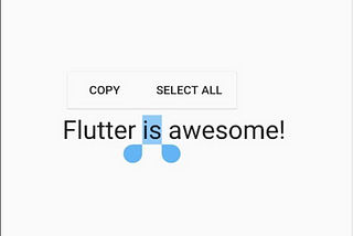 Making Texts Selectable in Your Flutter Web App (updated)