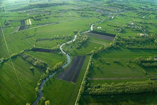 A view from a kite