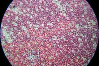 Fascinating Colours in Nature