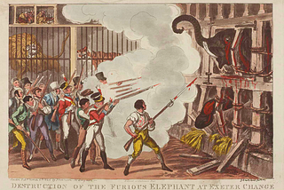 Destruction of the Furious Elephant at Exeter Change, by George Cruikshank — a contemporary print showing a row of soldiers and others firing rifles at a bloodied elephant which is breaking some of the bars of a stout wooden cage, but is still very much contained. A man standing closer carries a rifle with a bloodied bayonet, apparently from stabbing the animal