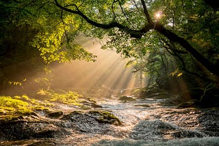 From Chaos to Clarity: Your Heartfelt Guide to Serenity
