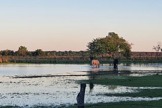 Corrientes Province, Argentina