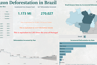 Brazil Deforests the Amazon by Areas Equivalent to the Size of 230 Manhattans Annually