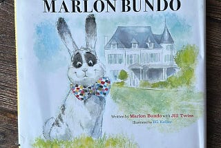 A book with a picture of a bunny.