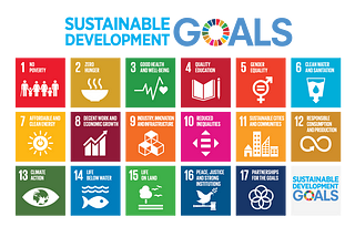 Can Reinforcement Learning Help With Sustainable Development Goals?
