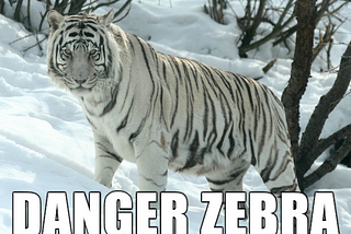 A tiger labelled “danger zebra”