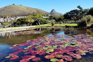 Before going to South Africa, read this!