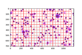 Sliding Windows for Object Detection with Python