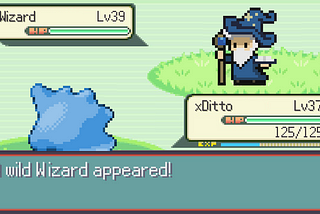 A wild Wizard appeared!