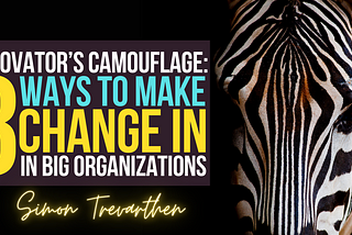 Innovator’s Camouflage: 3 Ways to Make Change in Big Organizations!