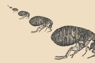 Parameters Influencing Disease Outbreaks: Real World Examples