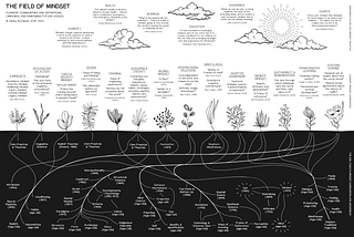 The field of mindset