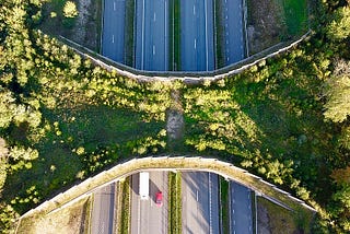 Bird’s eye view perspective of a wildlife crossing overpass above a highway.