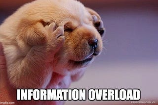 Information Overload meme — tired puppuy