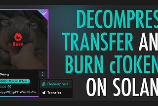 Introducing cTokens Burns on SolRIP.io — The First on Solana