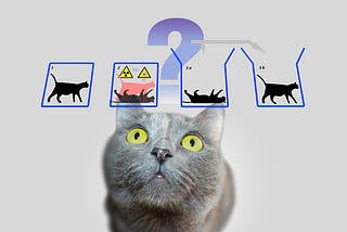 What is the connection between a World Model, Schrödinger’s Cat, and Neural Network?