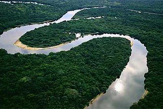 The Amazon Rainforest