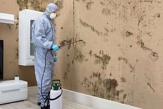 Why Mold Remediation is Necessary After Water Damage
